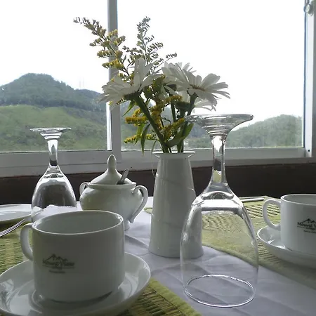 Mount View Hotel 2*