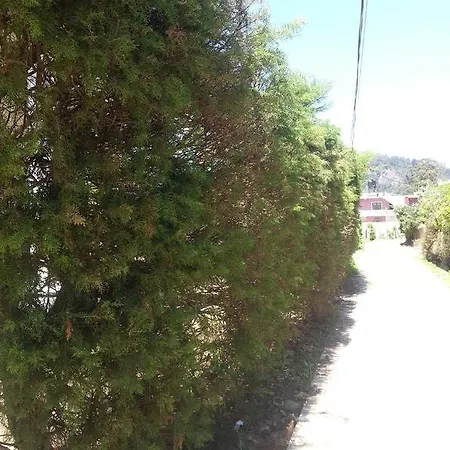 Winkfield * Nuwara Eliya