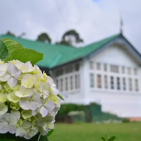 City Guest house *