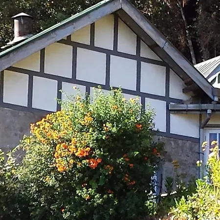 Yoho Spring Garden Bed & Breakfast Nuwara Eliya