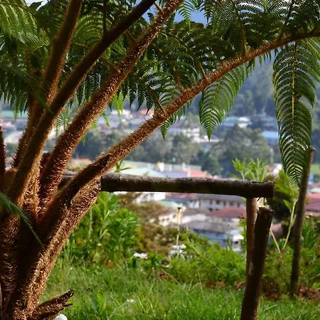 Yoho Spring Garden Bed & Breakfast Nuwara Eliya