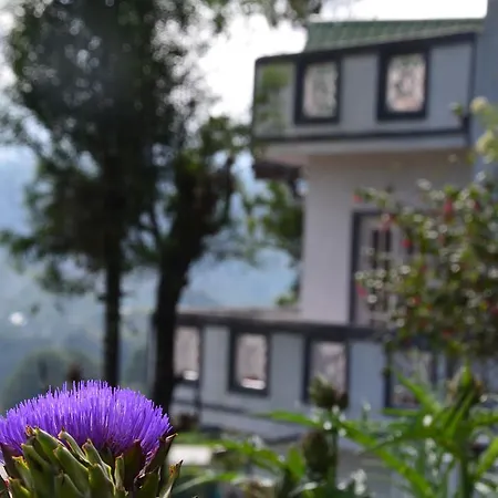 Yoho Spring Garden * Nuwara Eliya