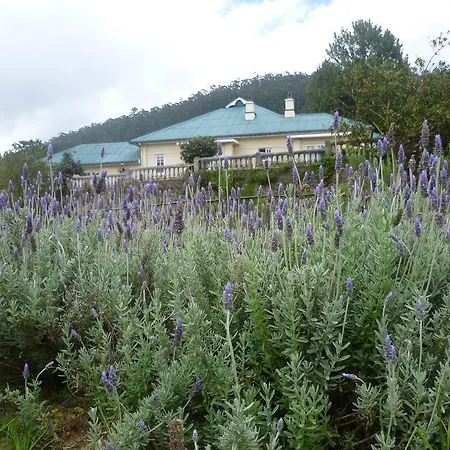 Senani Colonial Villa Nuwara Eliya