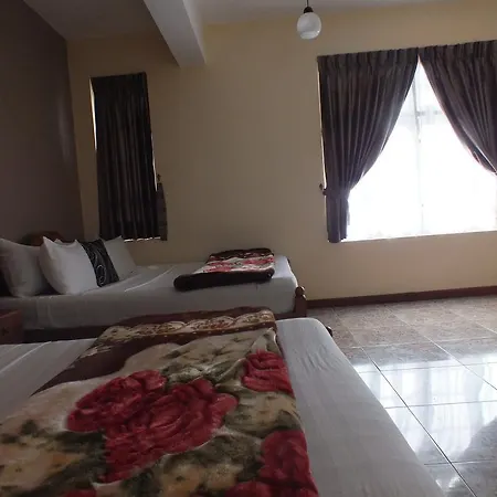 Guest house Stars