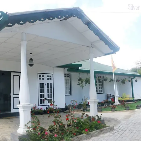 Guest house Silver Meir 3*