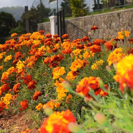 Thuring's * Nuwara Eliya