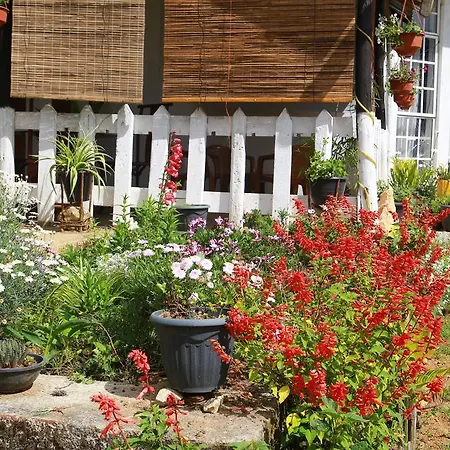 Holiday home C