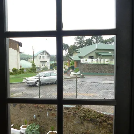 Daffodils Hotel 4*
