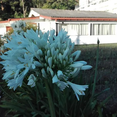 Homestay Kumara Sevana Nuwara Eliya