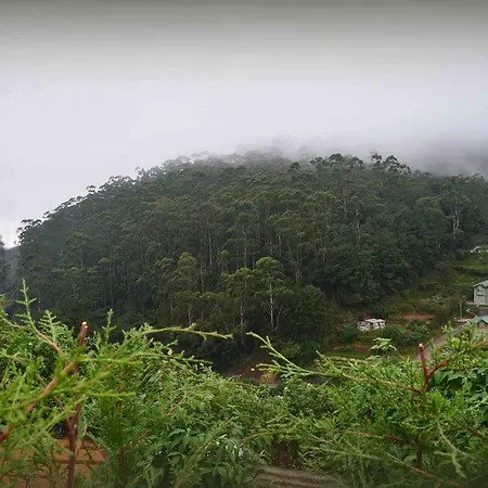 Holiday home Green Hill Bungalow *