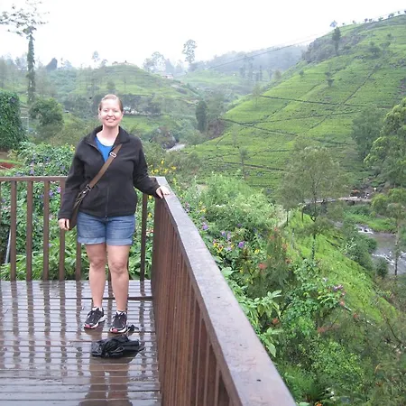 Jungle View Nuwaraeliya Nuwara Eliya