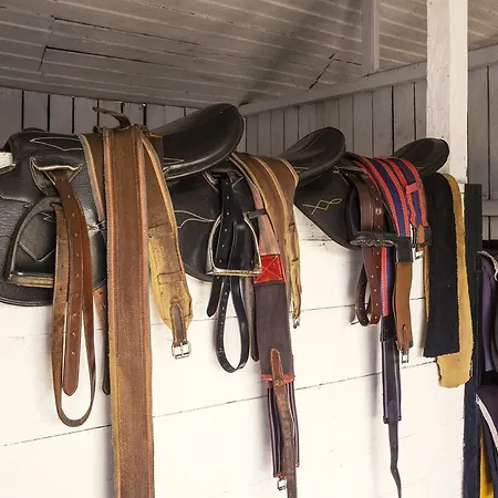 Hill Rise Luxury & Stables By Edwards Collection -