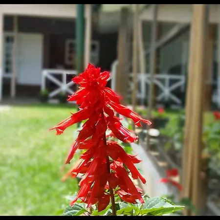 Guest house Happy Holiday