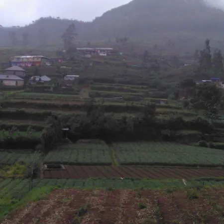 Avon Field Nuwara Eliya