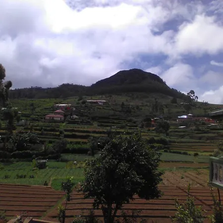 Homestay Avon Field *