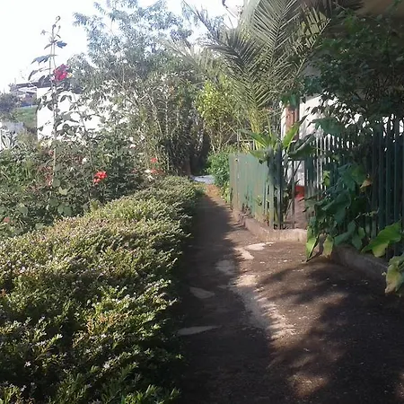 Homestay Avon Field *