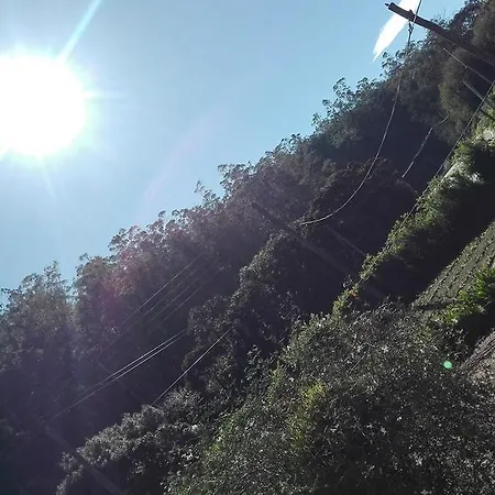 Homestay Kumara Sevana Nuwara Eliya