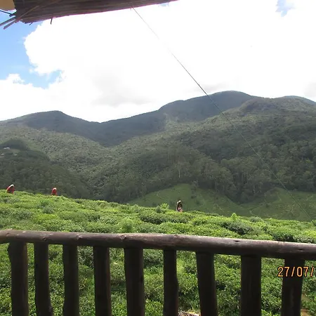 Tea Garden Nuwara Eliya