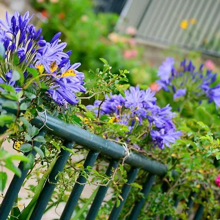 Villa Spring Acre