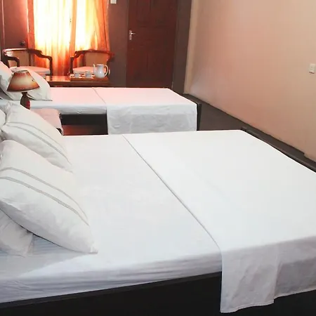 Fridsro Guest