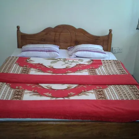 Selis Manor Holiday *