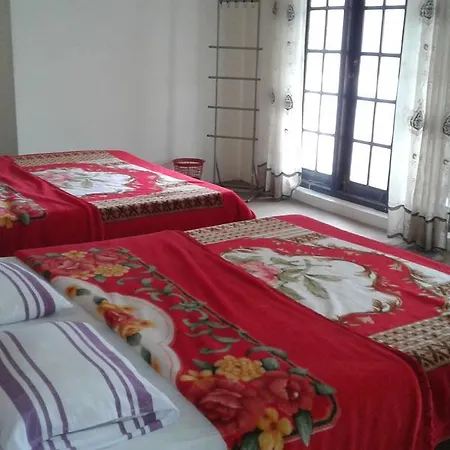 Selis Manor Holiday Homestay