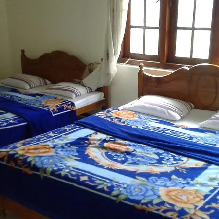 Selis Manor Holiday