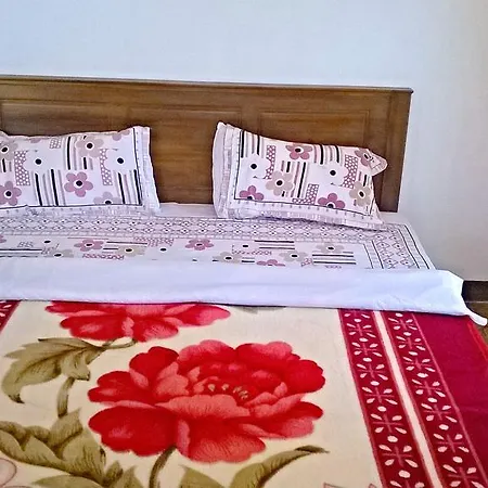 Guest house Rochana Palace *