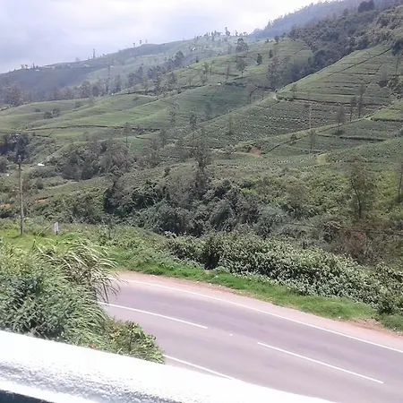 Cool Mount Guest Homestay Nuwara Eliya