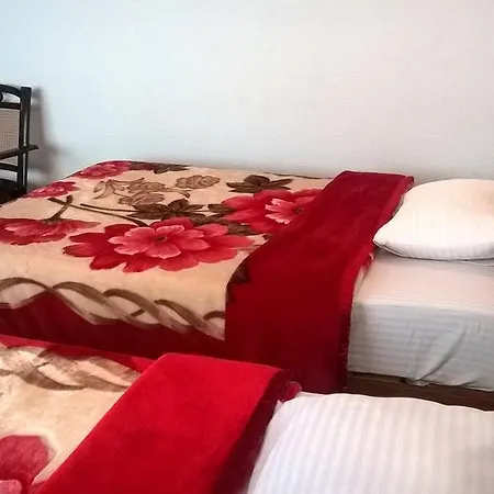 Jungle View Nuwaraeliya Guest house *