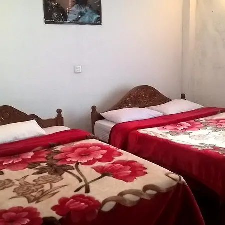 Jungle View Nuwaraeliya Guest house *