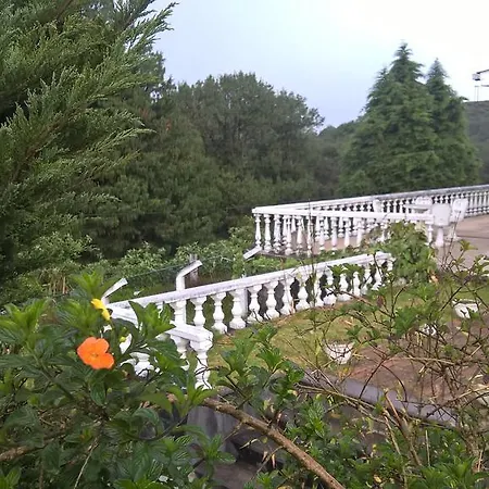 Jungle View Nuwaraeliya Guest house *