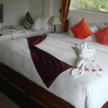 Hotel Midky 3*