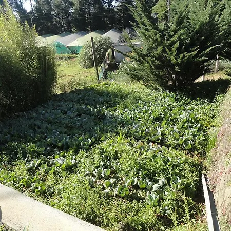 Jungle View Nuwaraeliya Nuwara Eliya