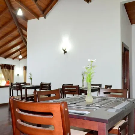 The Mint Bungalow Guest house