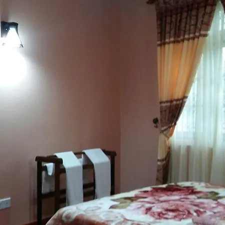 Sallu Luxury Guest house *