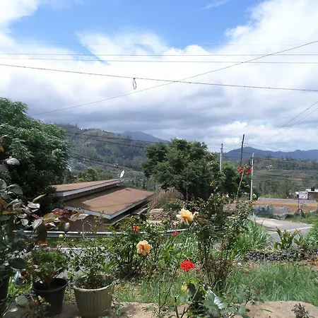 Seven Nine * Nuwara Eliya