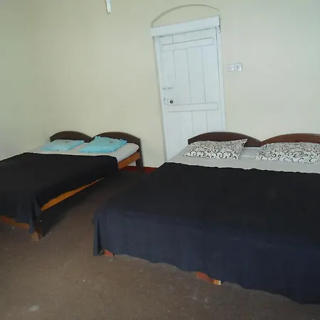 Torigton House Guest house *