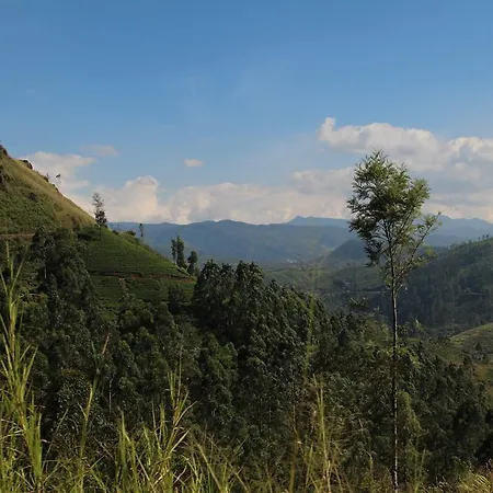 Cool Mount Guest Homestay Nuwara Eliya