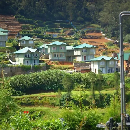 Hill Tea View *