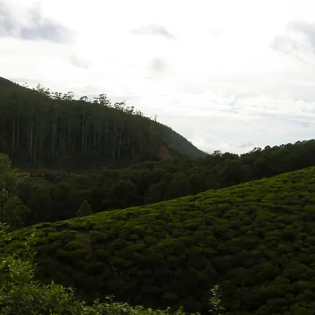 Holiday home Hill Tea View *