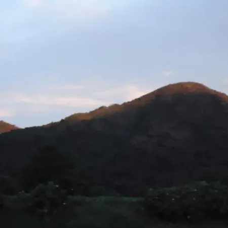 Hill Tea View *