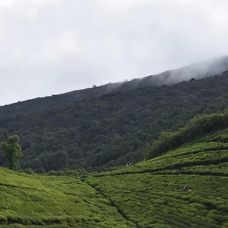 Hill Tea View Holiday home *