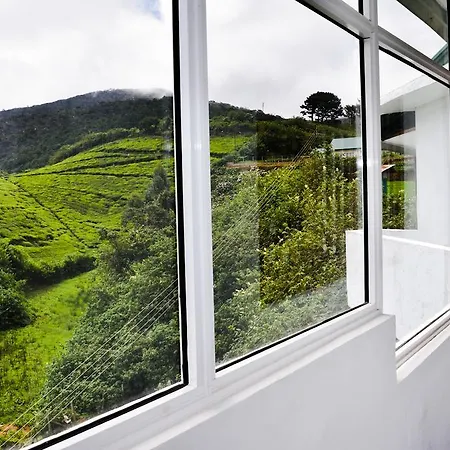 Hill Tea View *