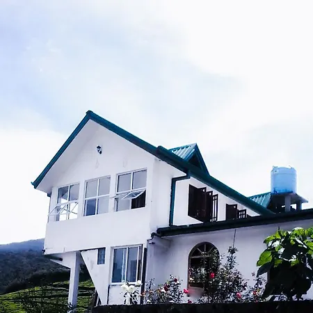 Hill Tea View