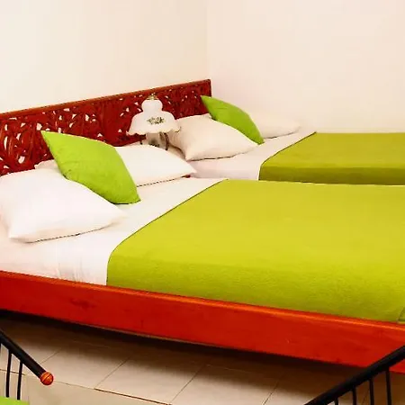 Guest house Asvika Hotel *