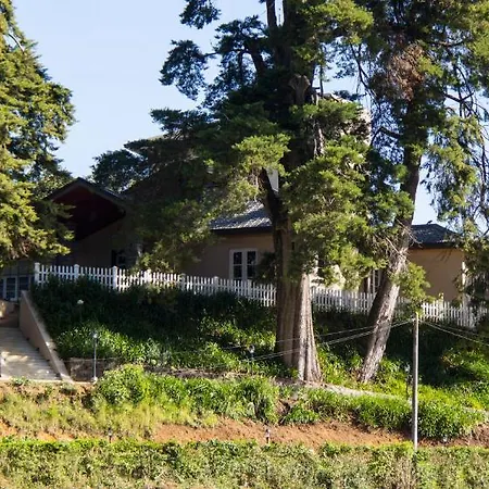 The Firs * Nuwara Eliya