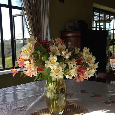 Guest house Italy Bungalow *