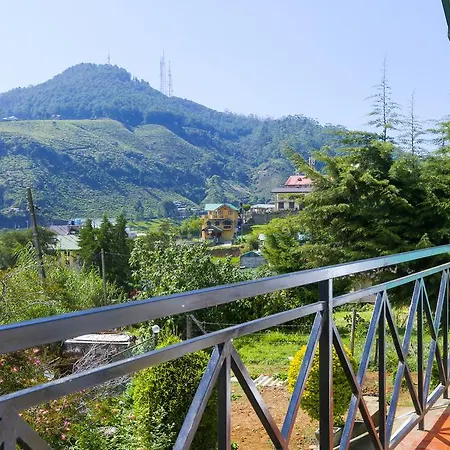 Crisfern Nuwara Eliya
