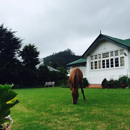 Guest house City Nuwara Eliya